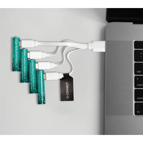 Batterie ricaricabili Q-Connect AAA con cavo USB-C - 750 mAh - 1,5V conf. 4 pz - KF14130